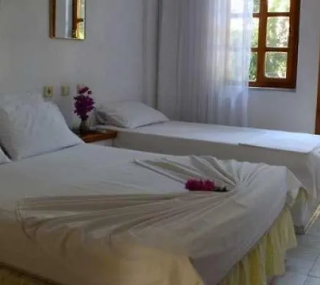 Гостевой дом Rose Pension *