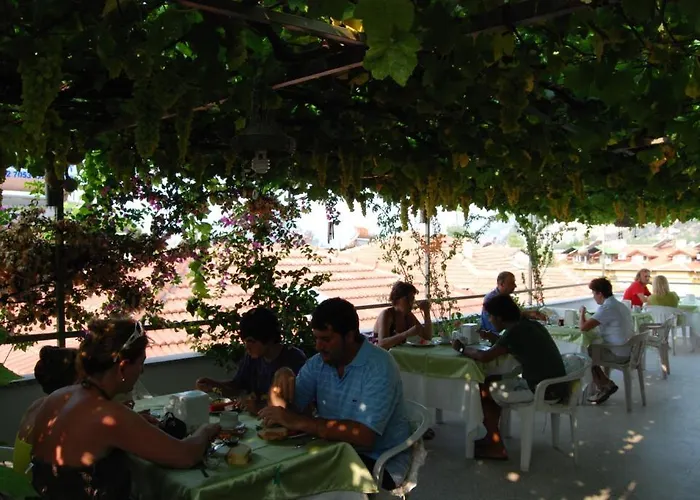 Rose Maison d'hôtes