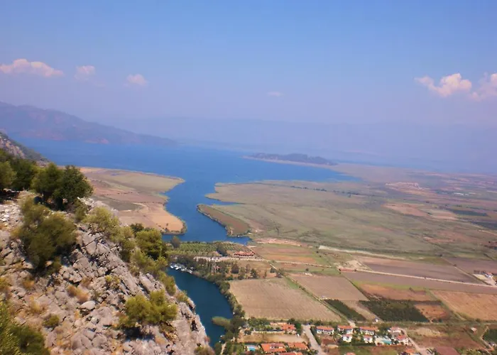 Rose Maison d'hôtes